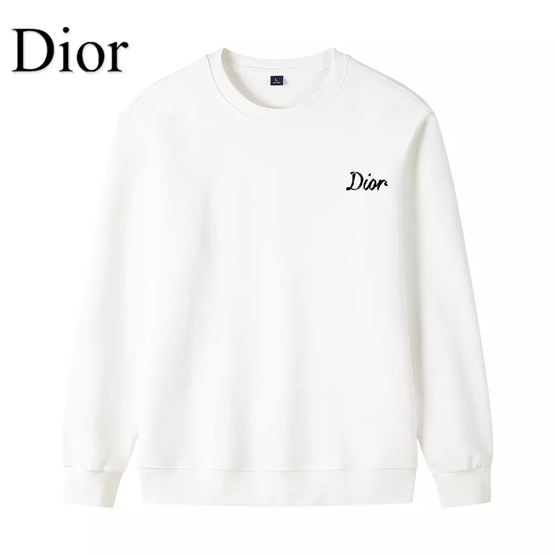 Christian Dior Hoodies Long Sleeved For Men Classic 8118