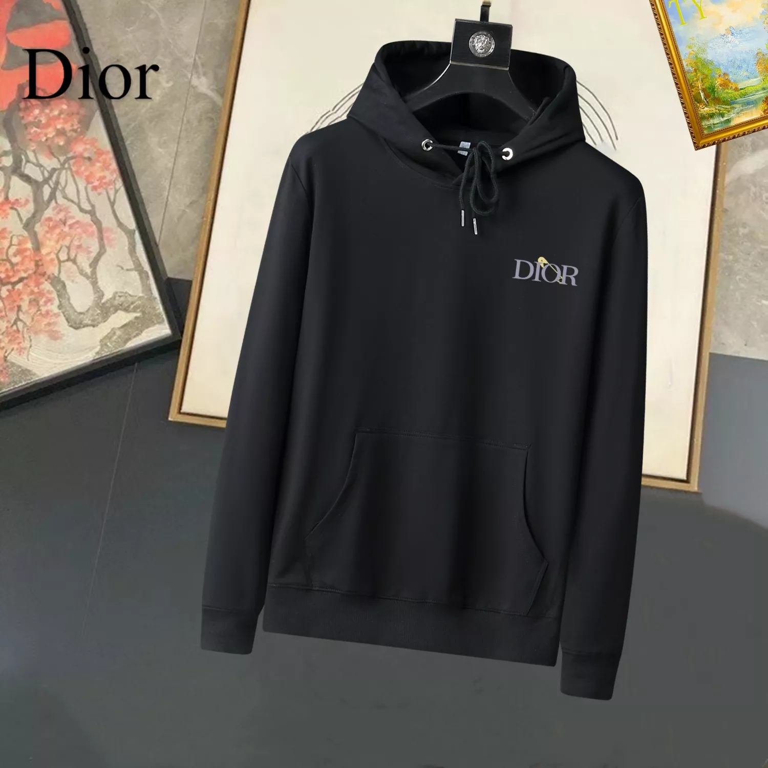 Christian Dior Hoodies Long Sleeved For Men Practical 1459