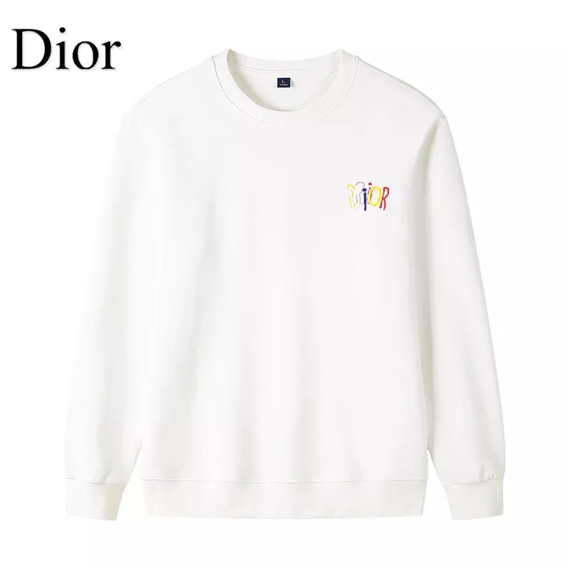Christian Dior Hoodies Long Sleeved For Men Resilient 9990