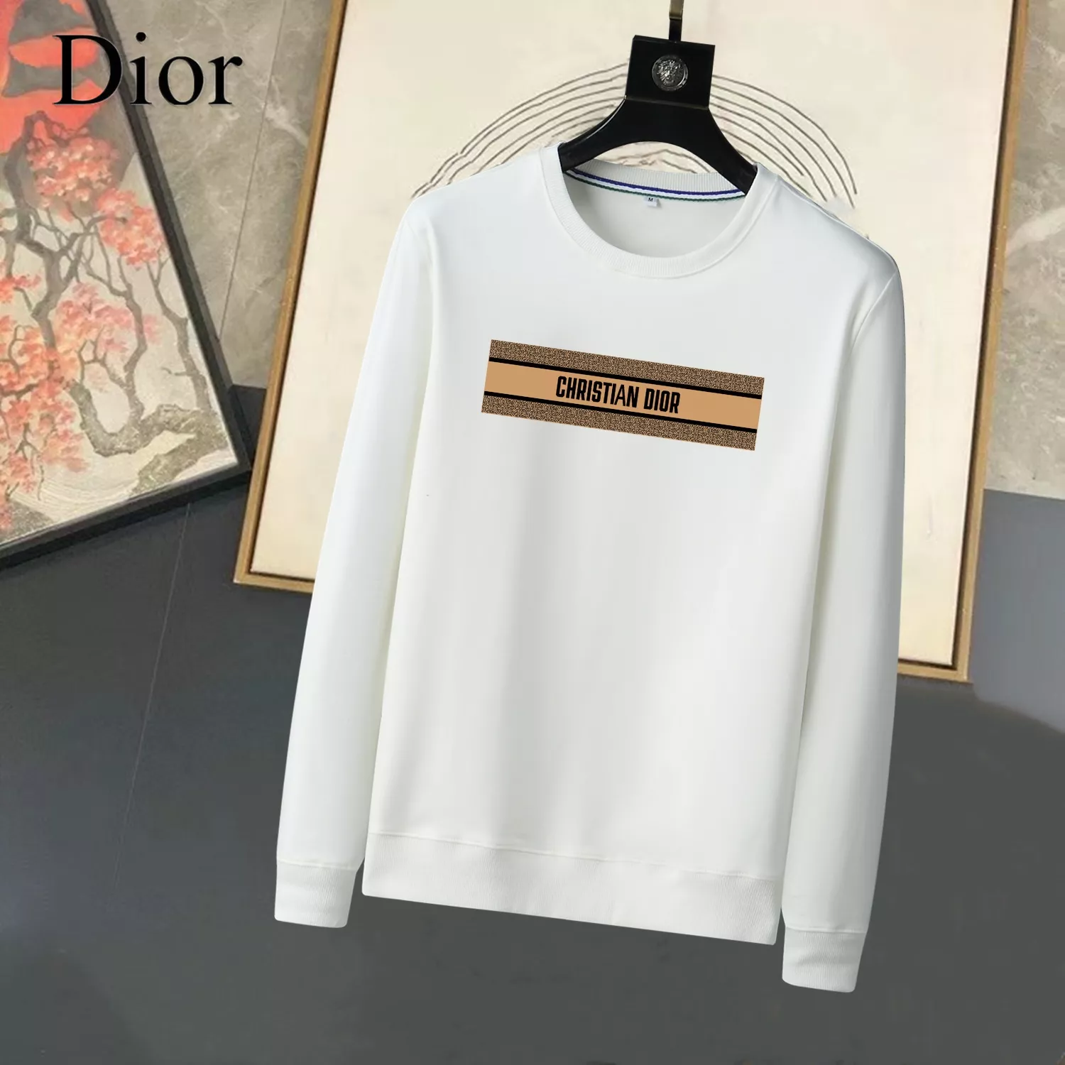 Christian Dior Hoodies Long Sleeved For Men SmartChoice 6803