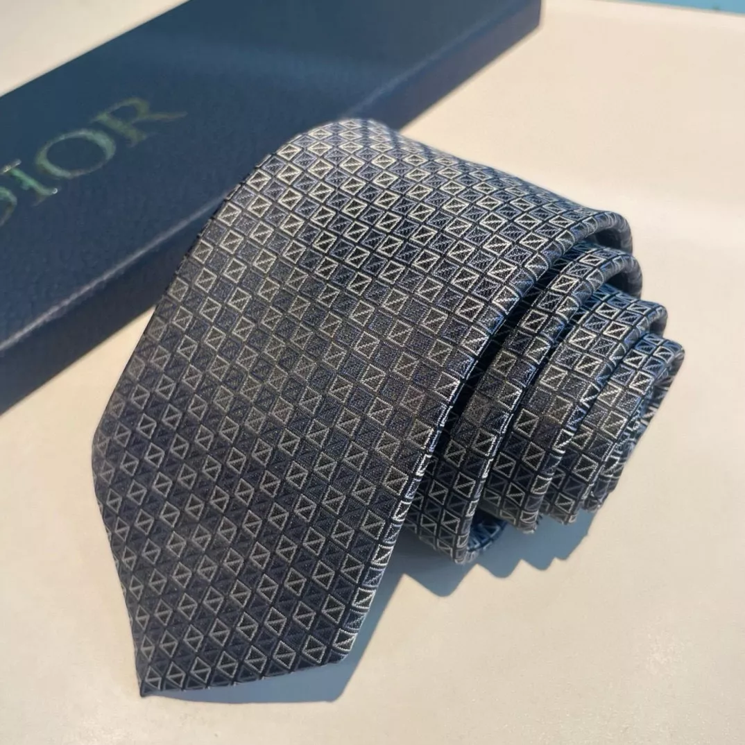 Christian Dior Necktie Comfortable 4946