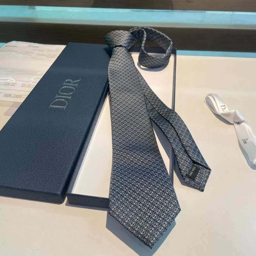 Christian Dior Necktie Comfortable 4946