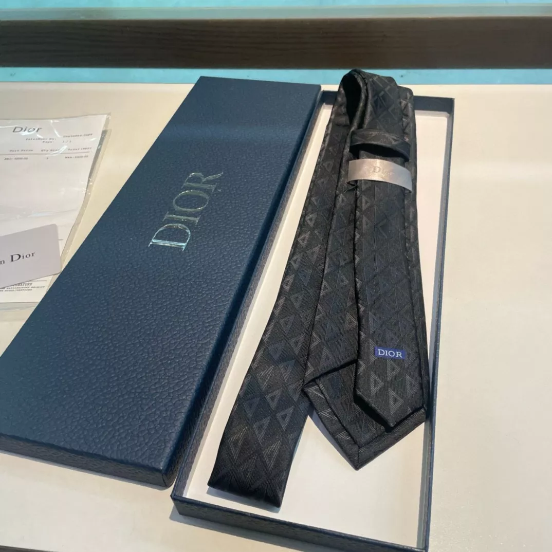 Christian Dior Necktie Cozy 2423