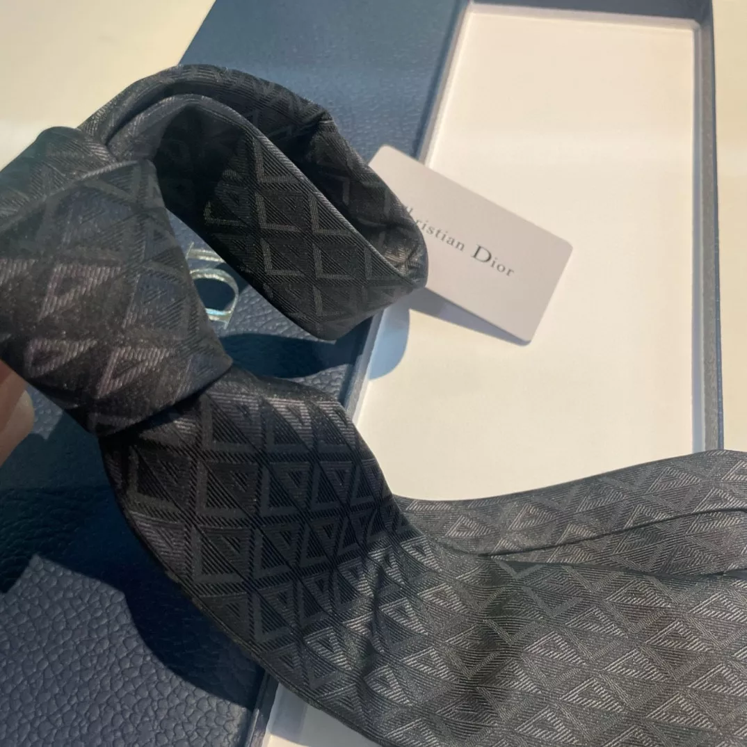 Christian Dior Necktie Cozy 2423