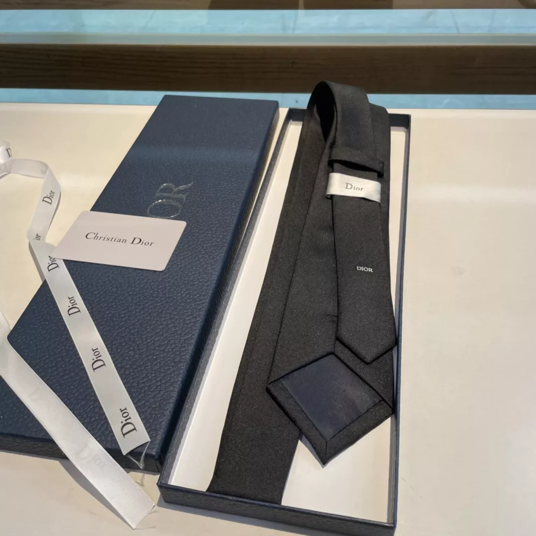 Christian Dior Necktie Durable 9112