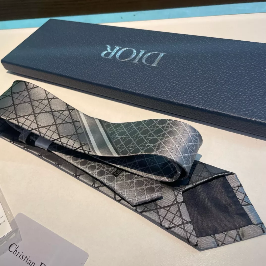 Christian Dior Necktie Refined 6532