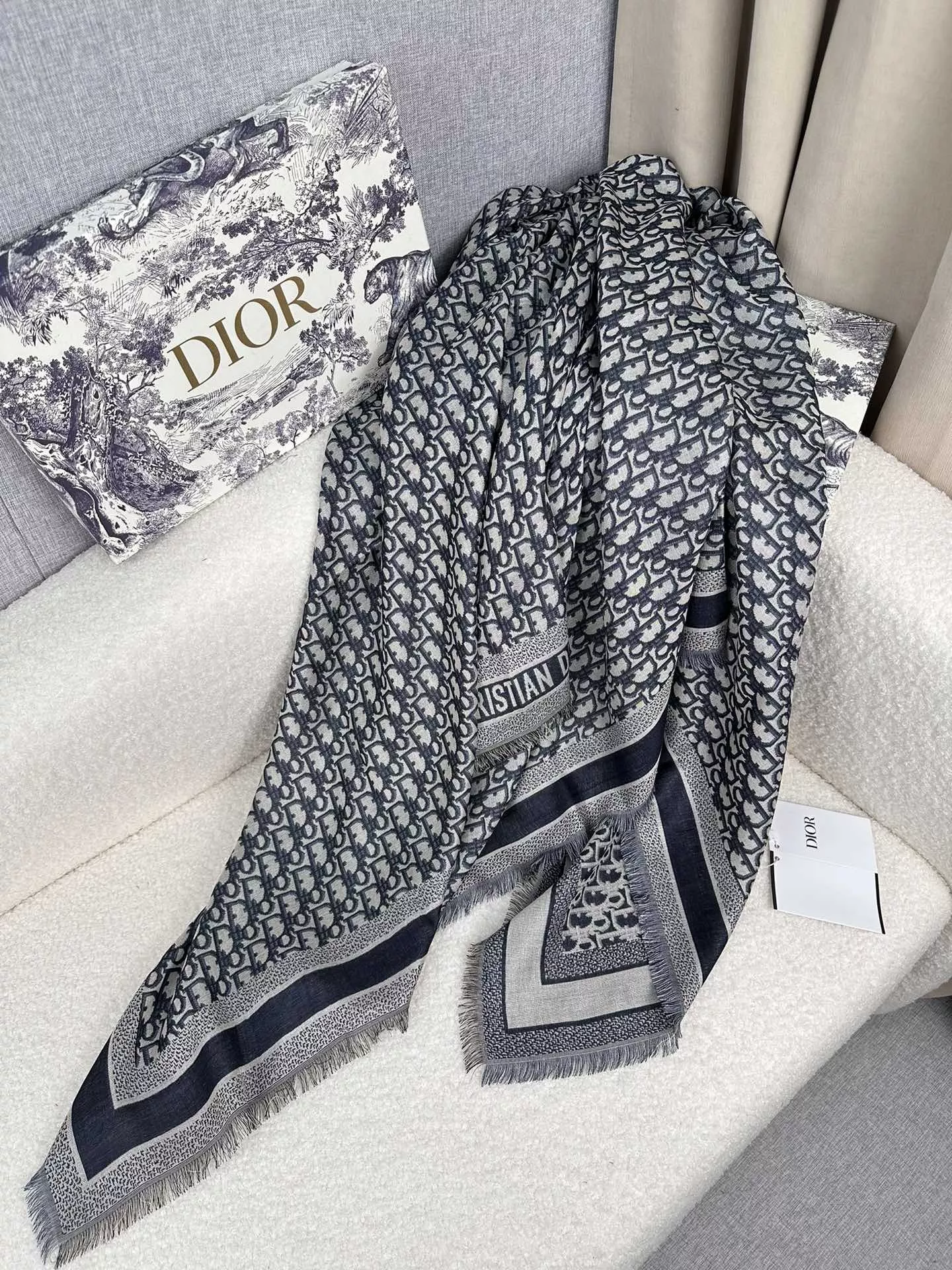 Christian Dior Scarf For Women StreetReady 7365