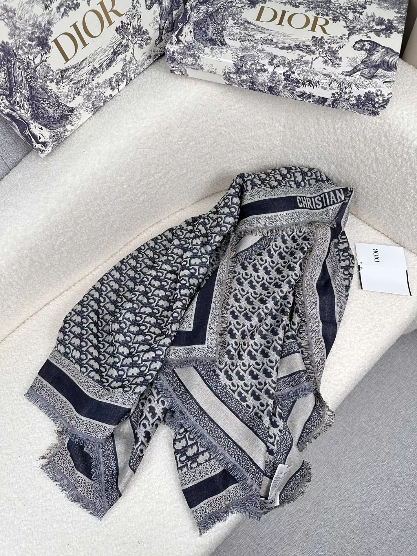 Christian Dior Scarf For Women StreetReady 7365