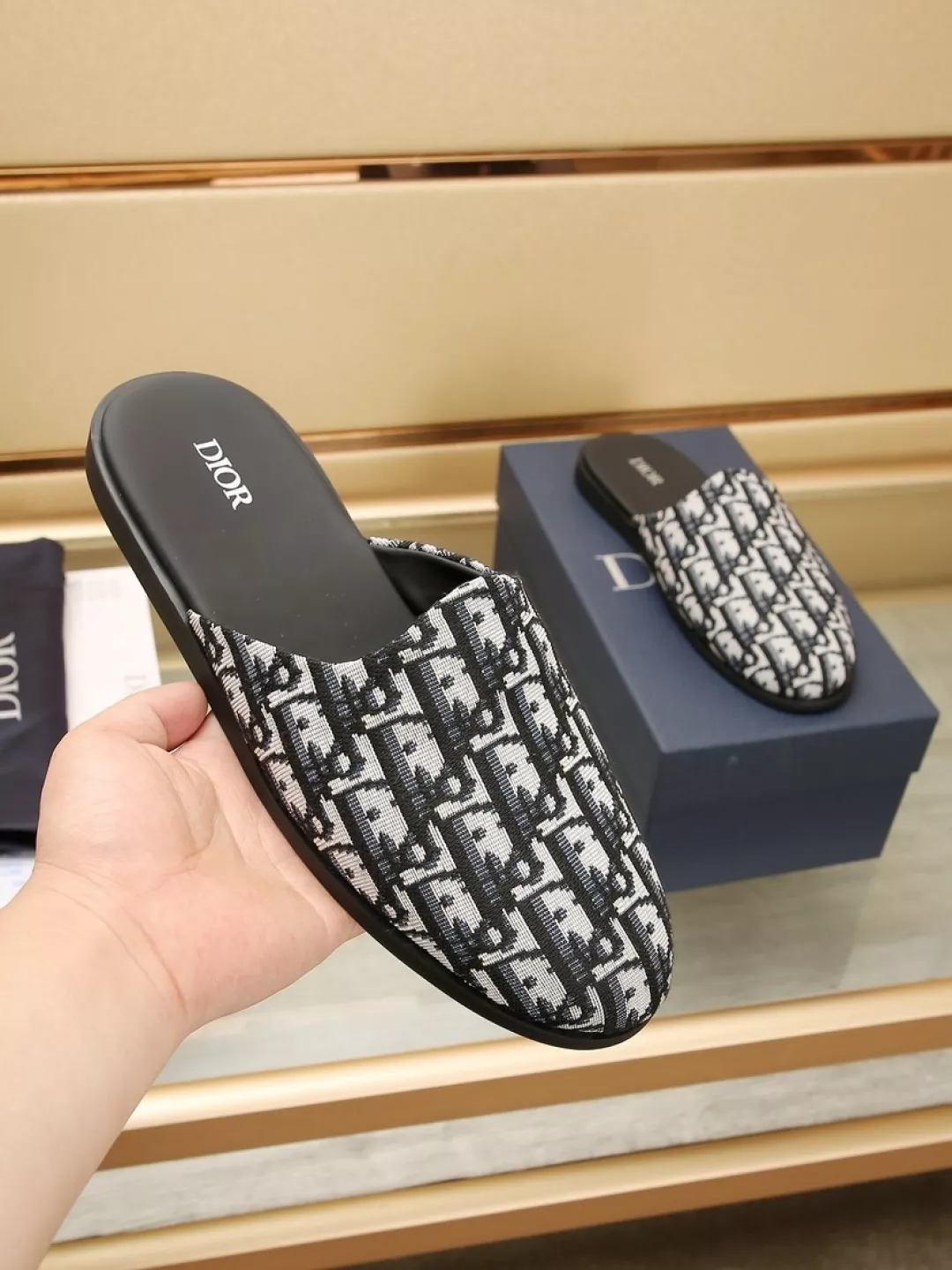 Christian Dior Slippers For Men BestValue 5263