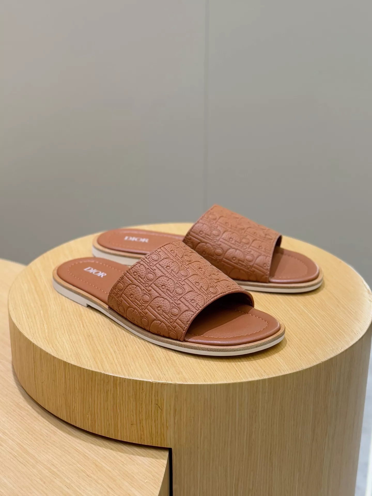 Christian Dior Slippers For Men Vibrant 5682