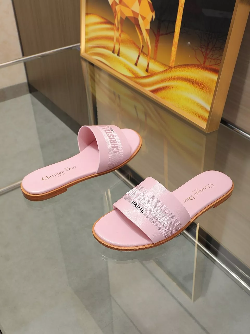 Christian Dior Slippers For Women Bright 8392