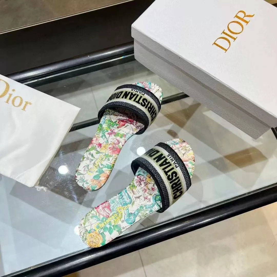 Christian Dior Slippers For Women DailyWear 4847