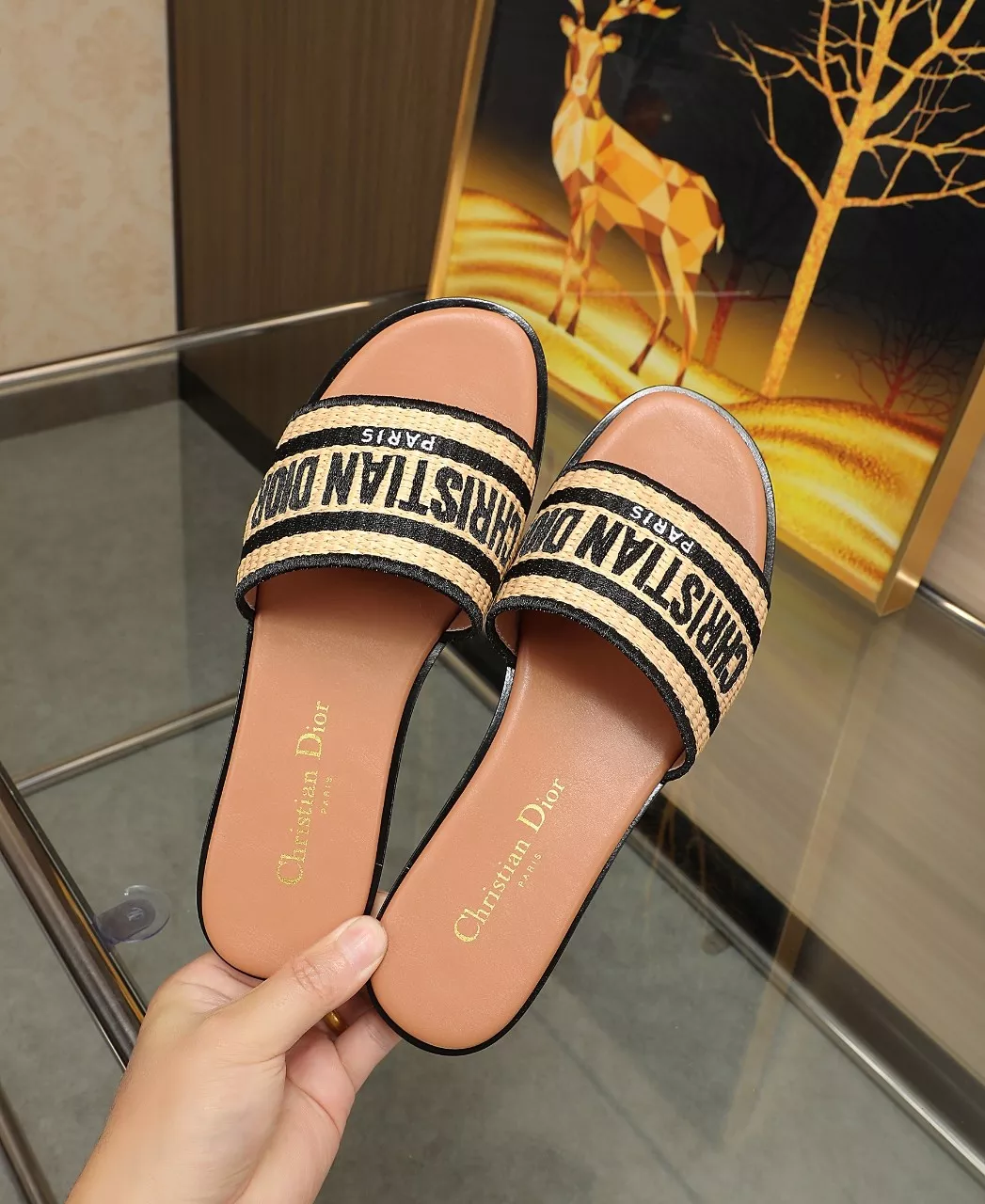 Christian Dior Slippers For Women GoAnywhere 9048