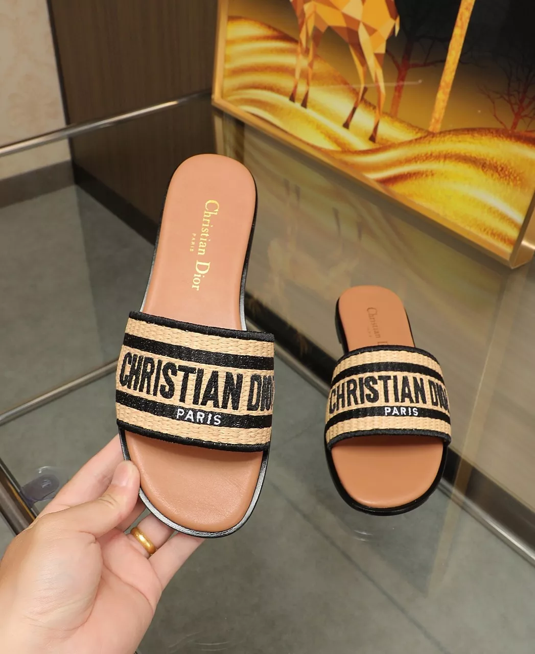 Christian Dior Slippers For Women GoAnywhere 9048