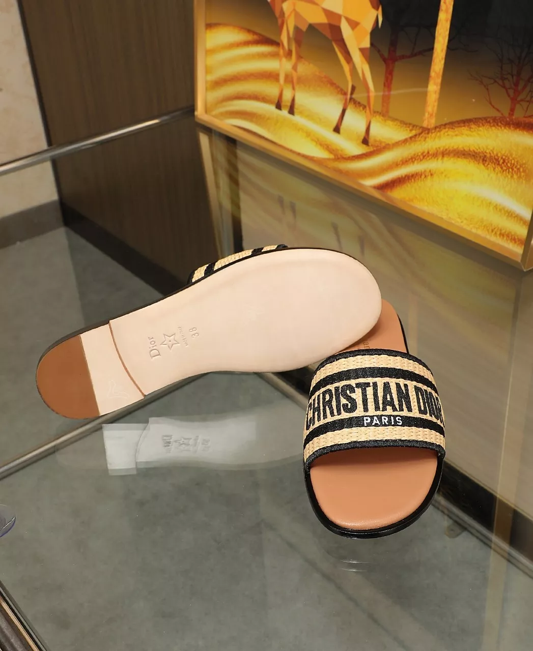 Christian Dior Slippers For Women GoAnywhere 9048