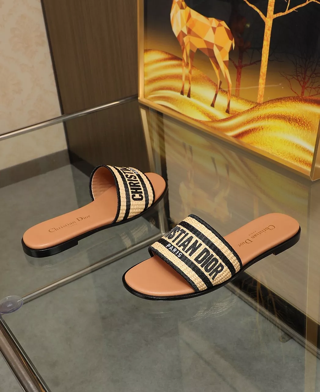 Christian Dior Slippers For Women GoAnywhere 9048