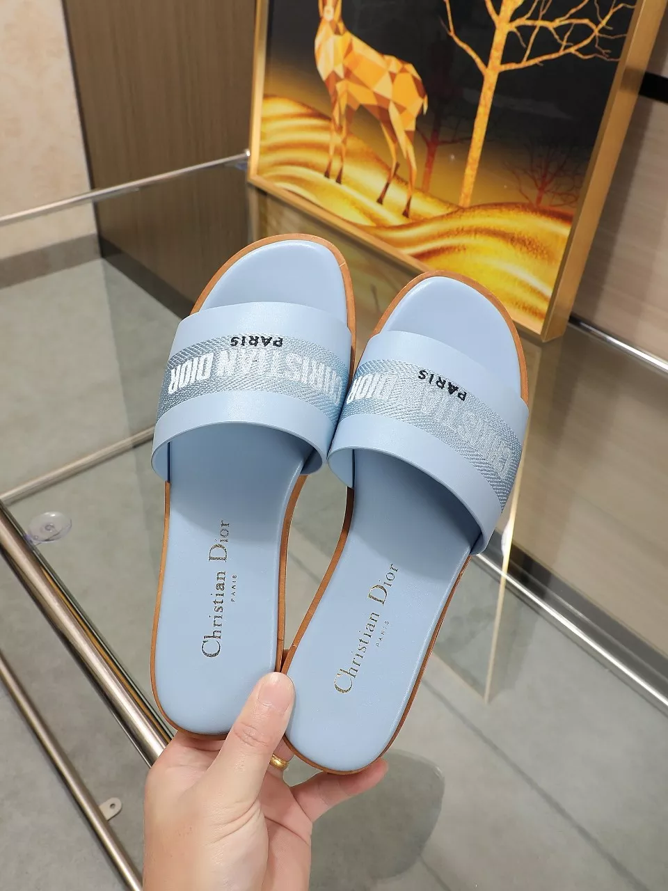 Christian Dior Slippers For Women Minimalist 2172
