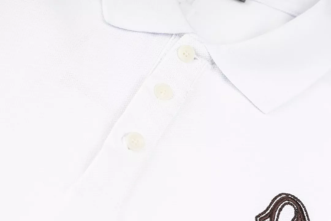 Christian Dior T-Shirts Short Sleeved For Men HighQuality 5138