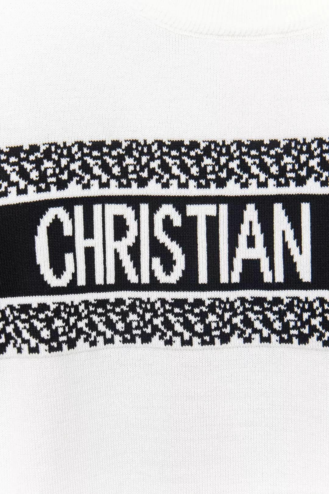 Christian Dior T-Shirts Short Sleeved For Unisex Trendy 2276
