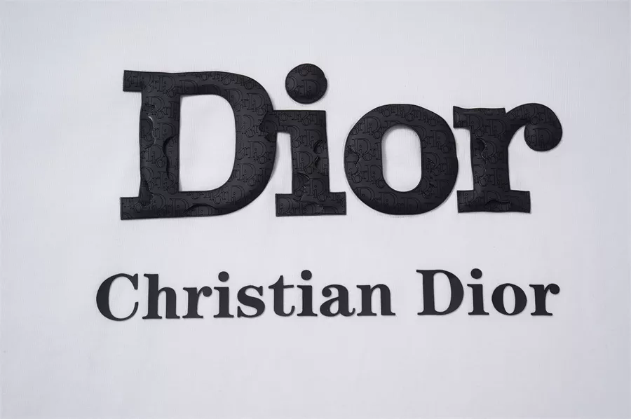 Christian Dior T-Shirts Short Sleeved For Unisex Vibrant 8788