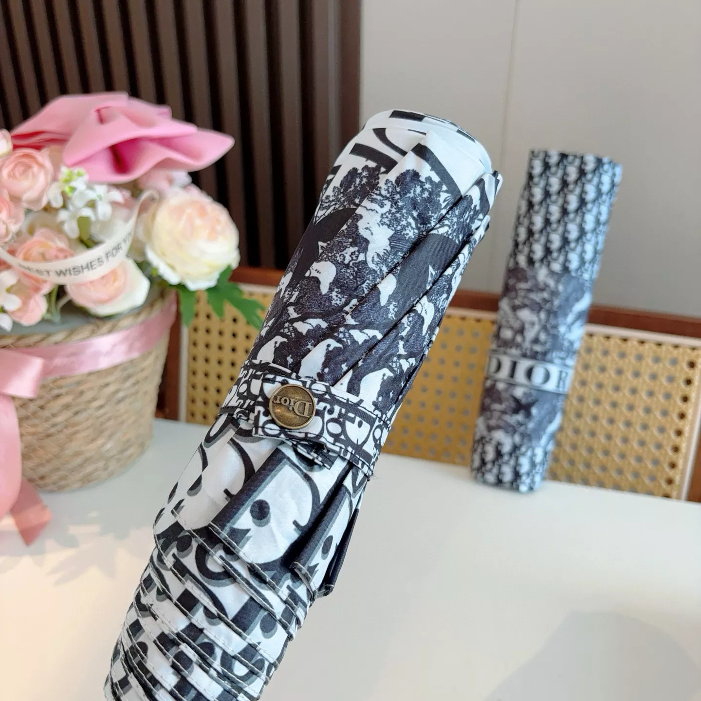 Christian Dior Umbrellas GoAnywhere 2038