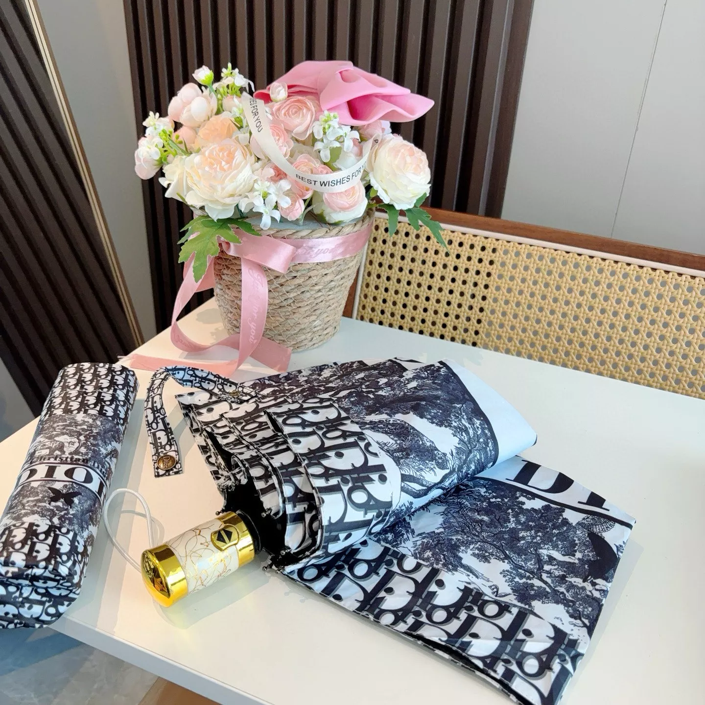 Christian Dior Umbrellas GoAnywhere 2038