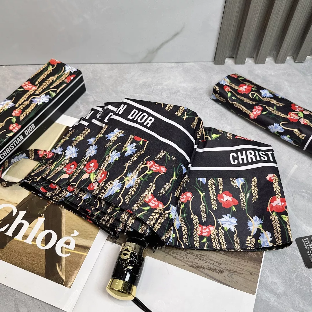 Christian Dior Umbrellas WellDesigned 4286