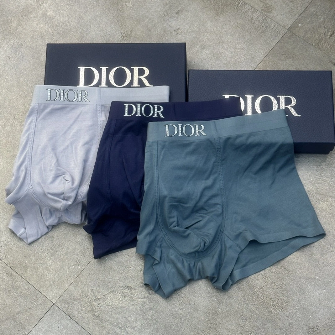 Christian Dior Underwears For Men Minimalist 1143