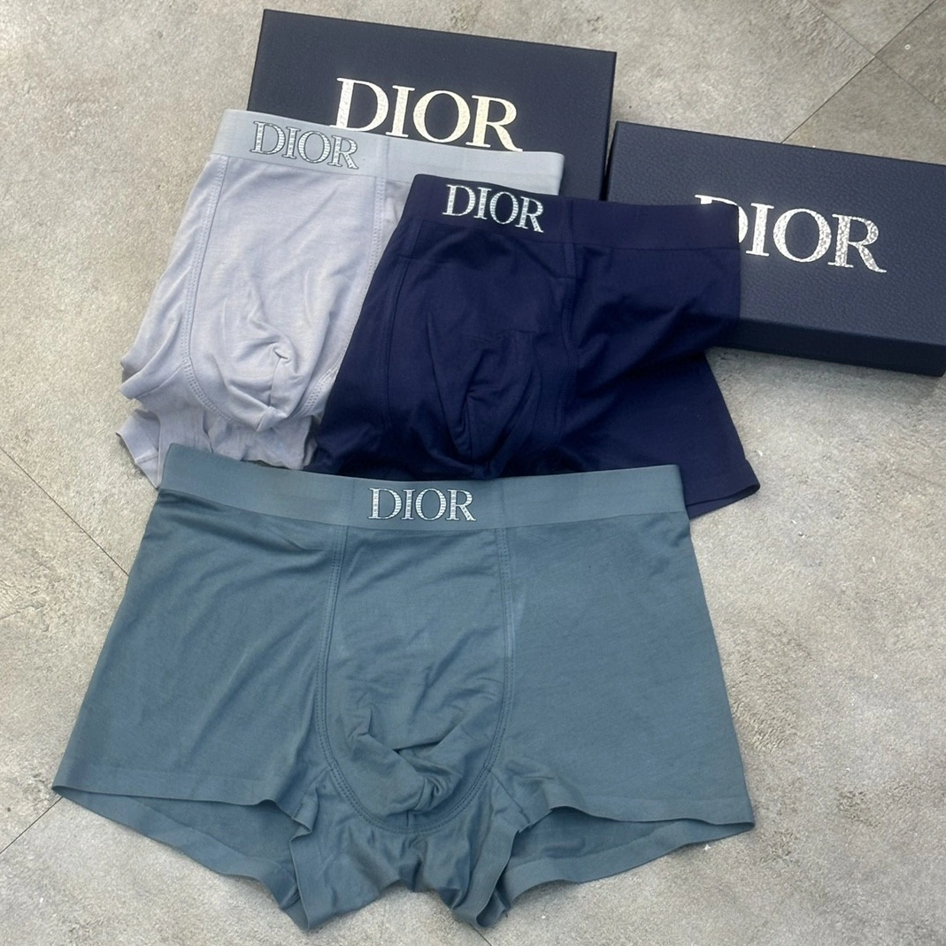 Christian Dior Underwears For Men Minimalist 1143