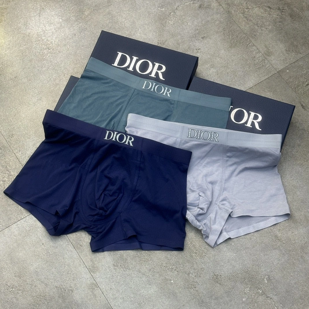 Christian Dior Underwears For Men Minimalist 1143
