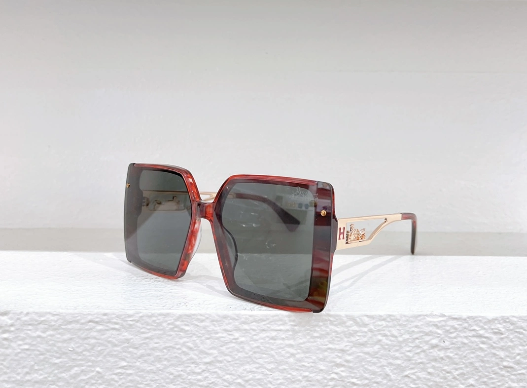 Classic 2955 Hermes AAA Quality Sunglasses