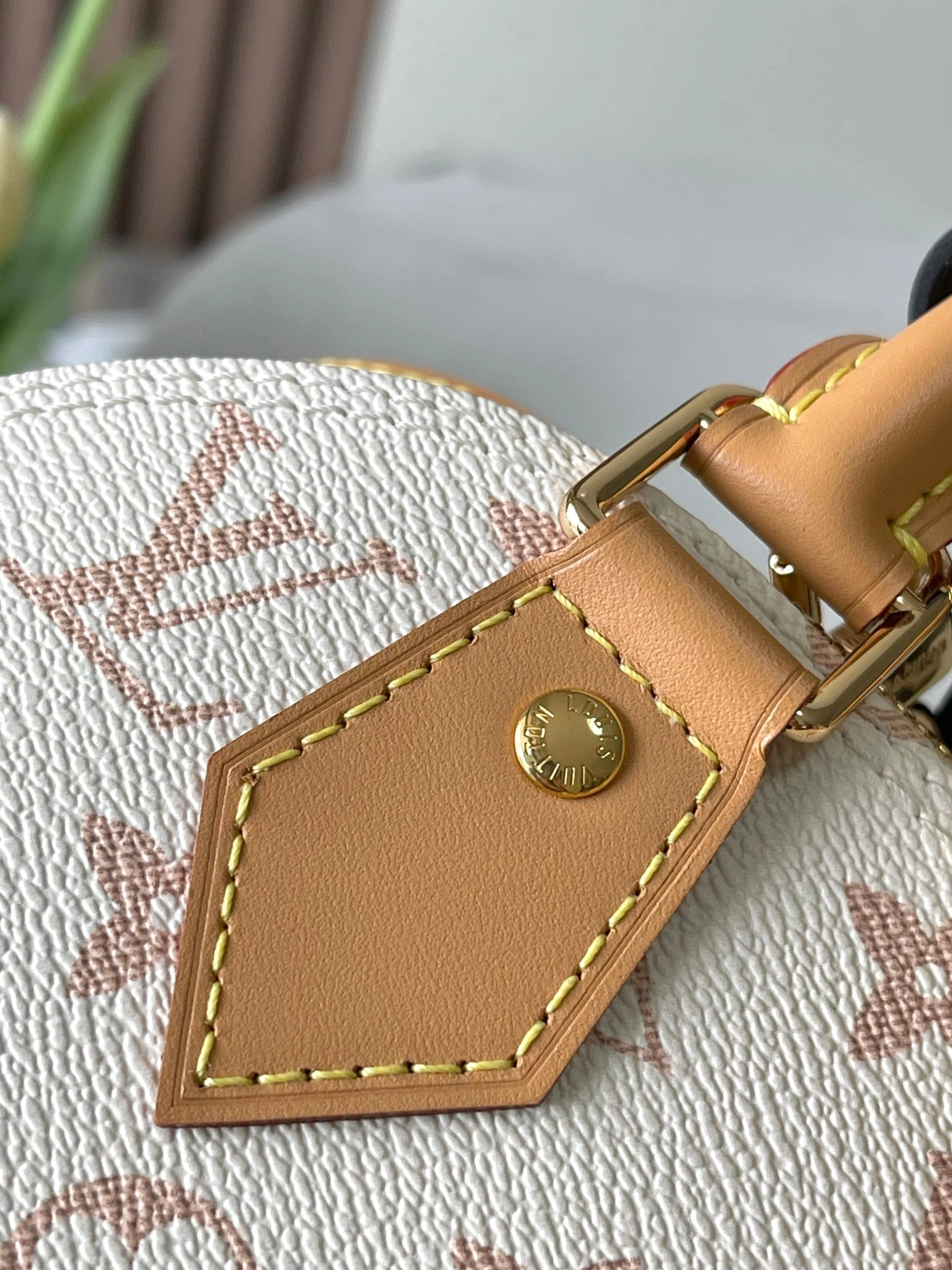 Classic 9809 Louis Vuitton AAA Quality Handbags For Women