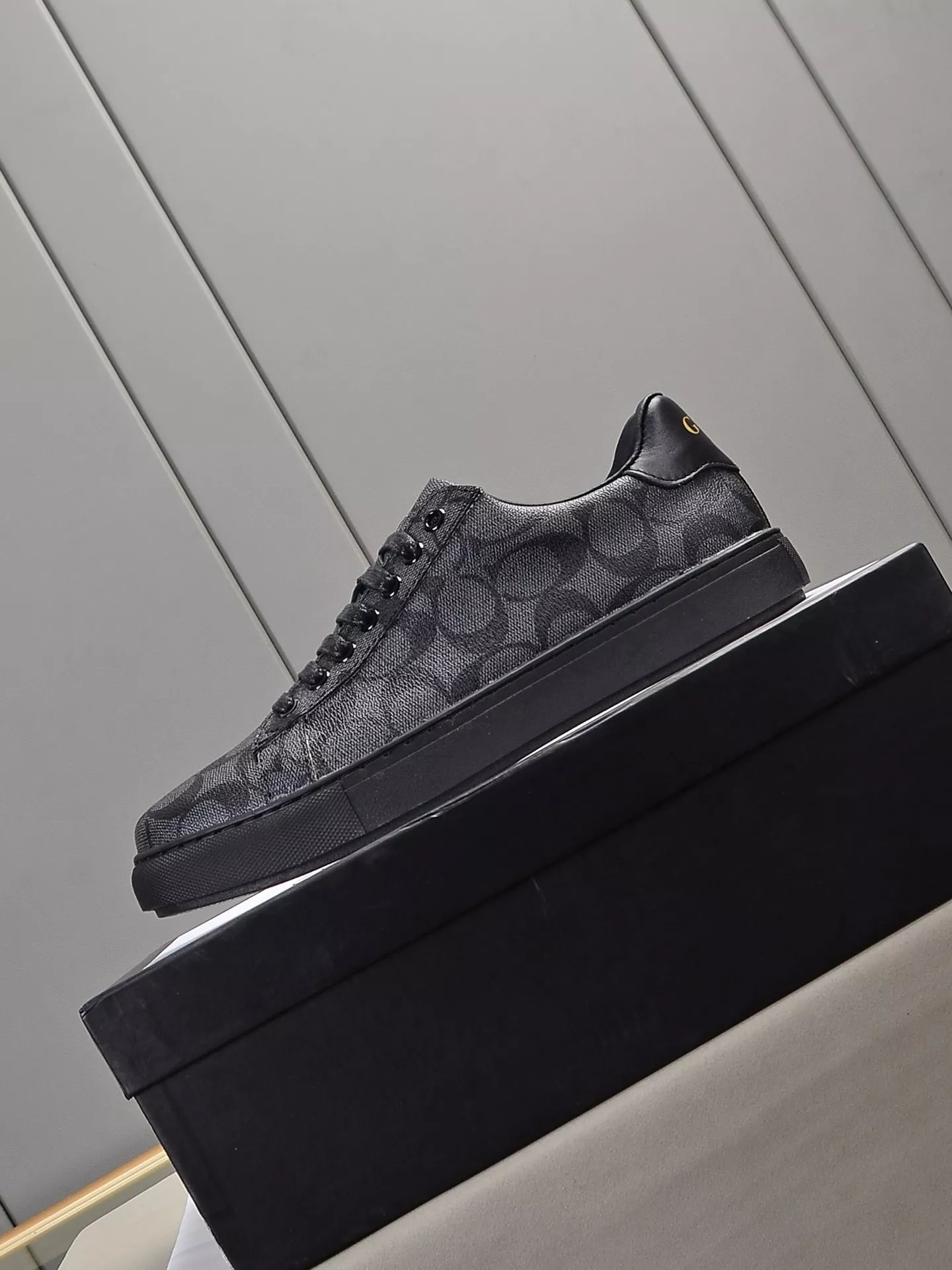 Coach Fashion Shoes For Men EyeCatching 9626
