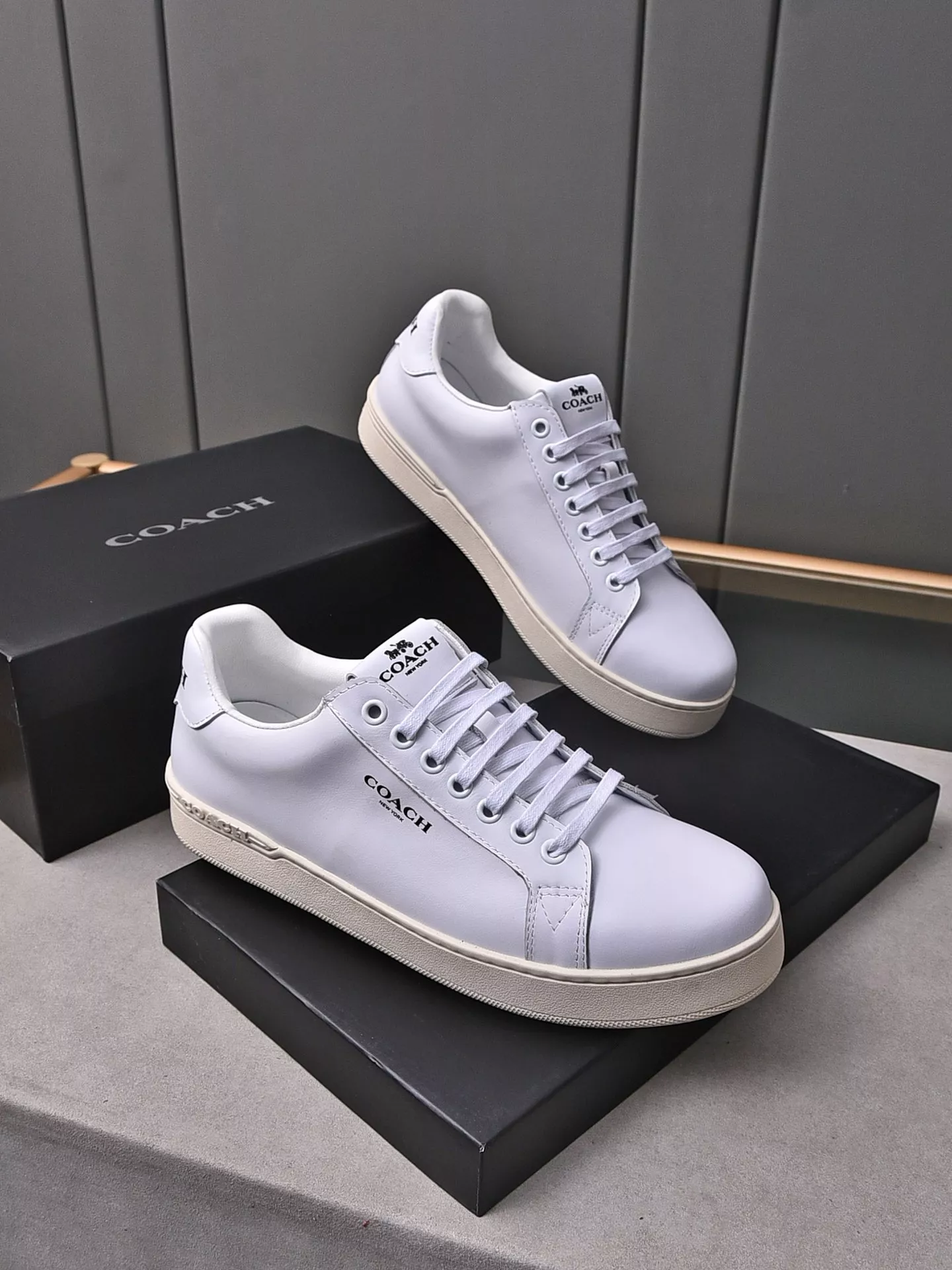 Coach Fashion Shoes For Men StreetReady 9833