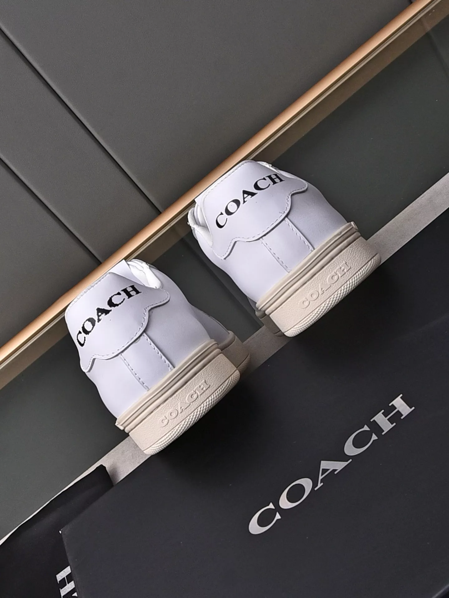 Coach Fashion Shoes For Men StreetReady 9833