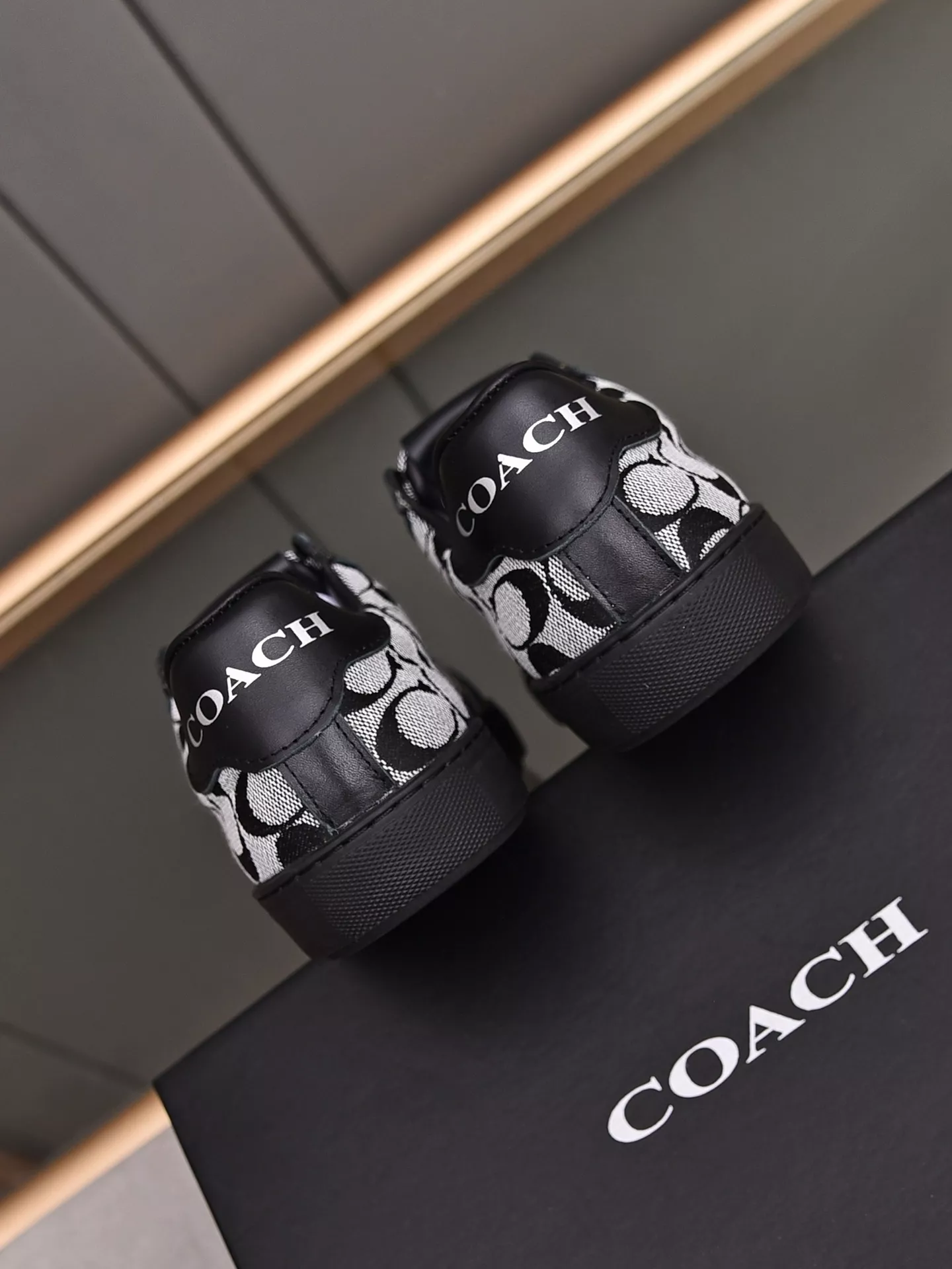 Coach Fashion Shoes For Men Stylish 163