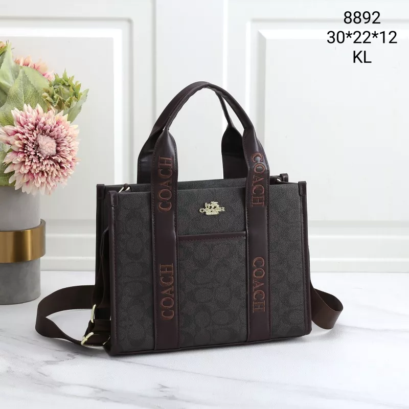 Coach Handbags For Women Affordable 3648