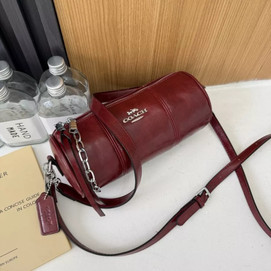 Coach Messenger Bag For Women ModernLook 2110