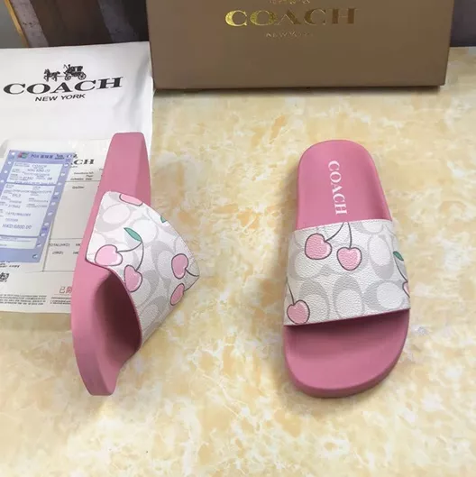 Comfortable 1255 Coach Slippers For Women