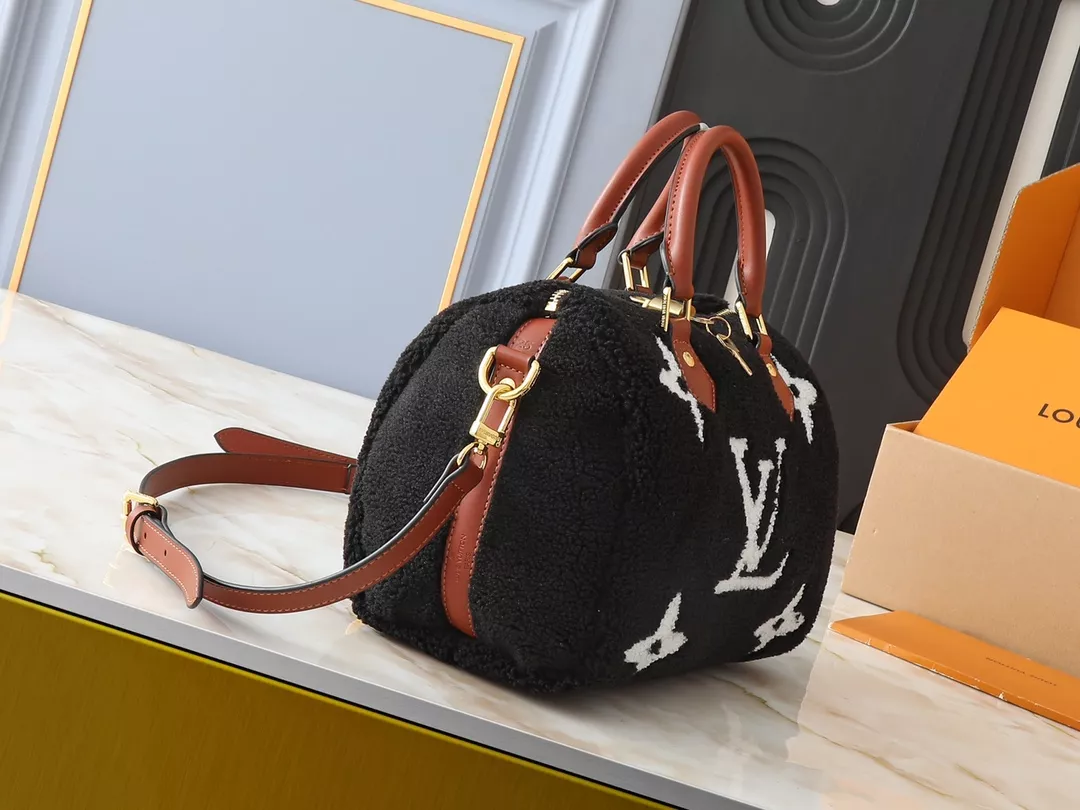 Comfortable 1281 Louis Vuitton AAA Quality Handbags For Women
