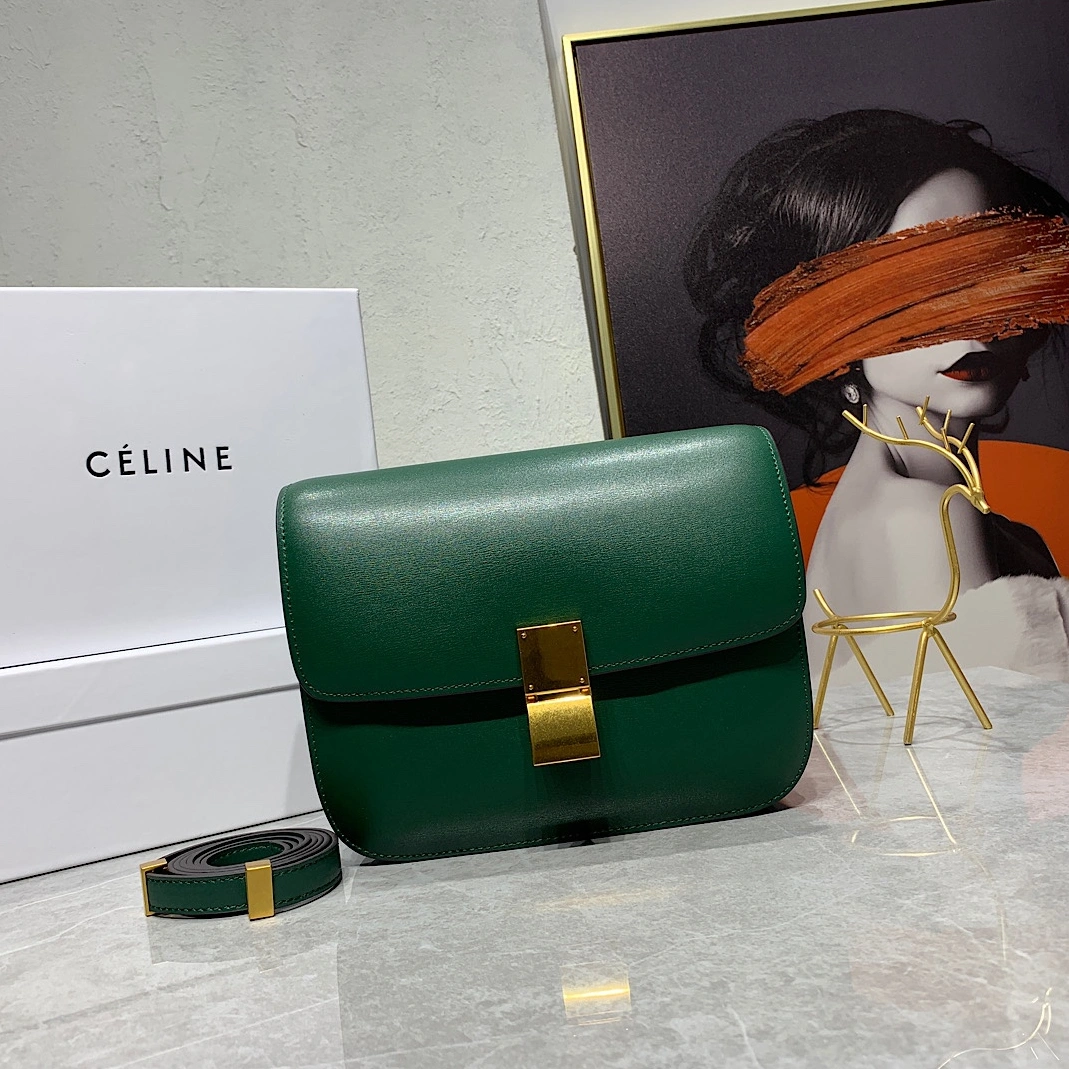 Comfortable 1350 Celine AAA Quality Messenger Bags For Women