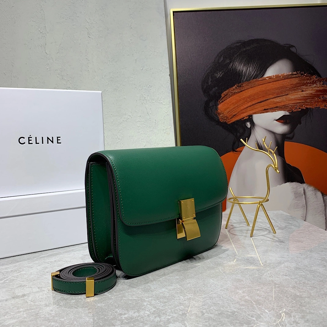 Comfortable 1350 Celine AAA Quality Messenger Bags For Women