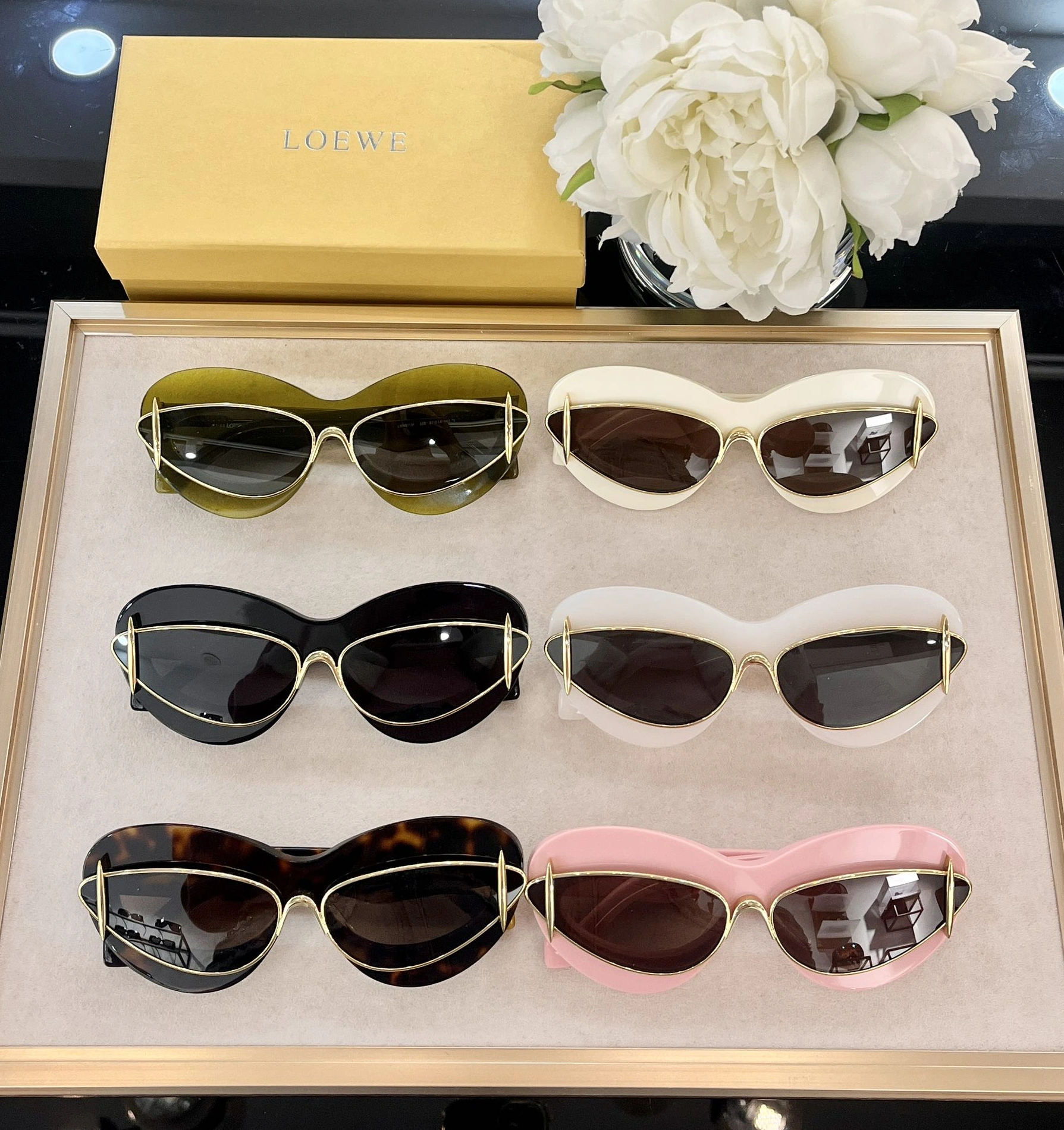 Comfortable 5723 LOEWE AAA Quality Sunglasses