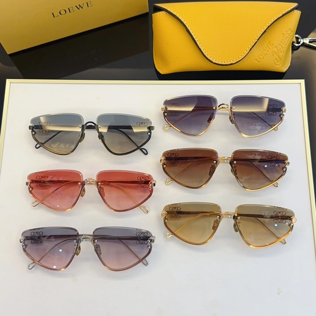 Comfortable 6229 LOEWE AAA Quality Sunglasses