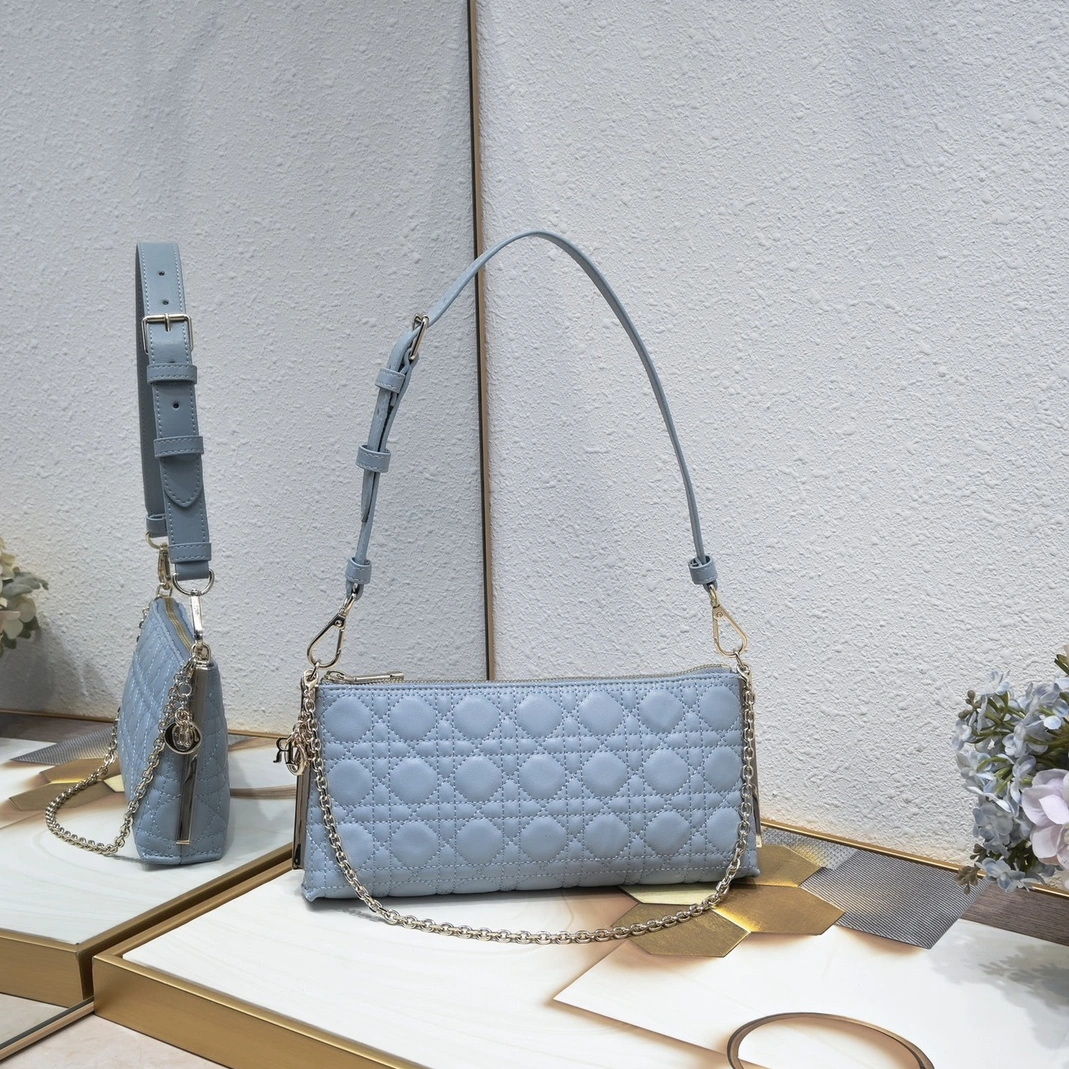 Compact 1679 Christian Dior AAA Quality Shoulder Bags For Women