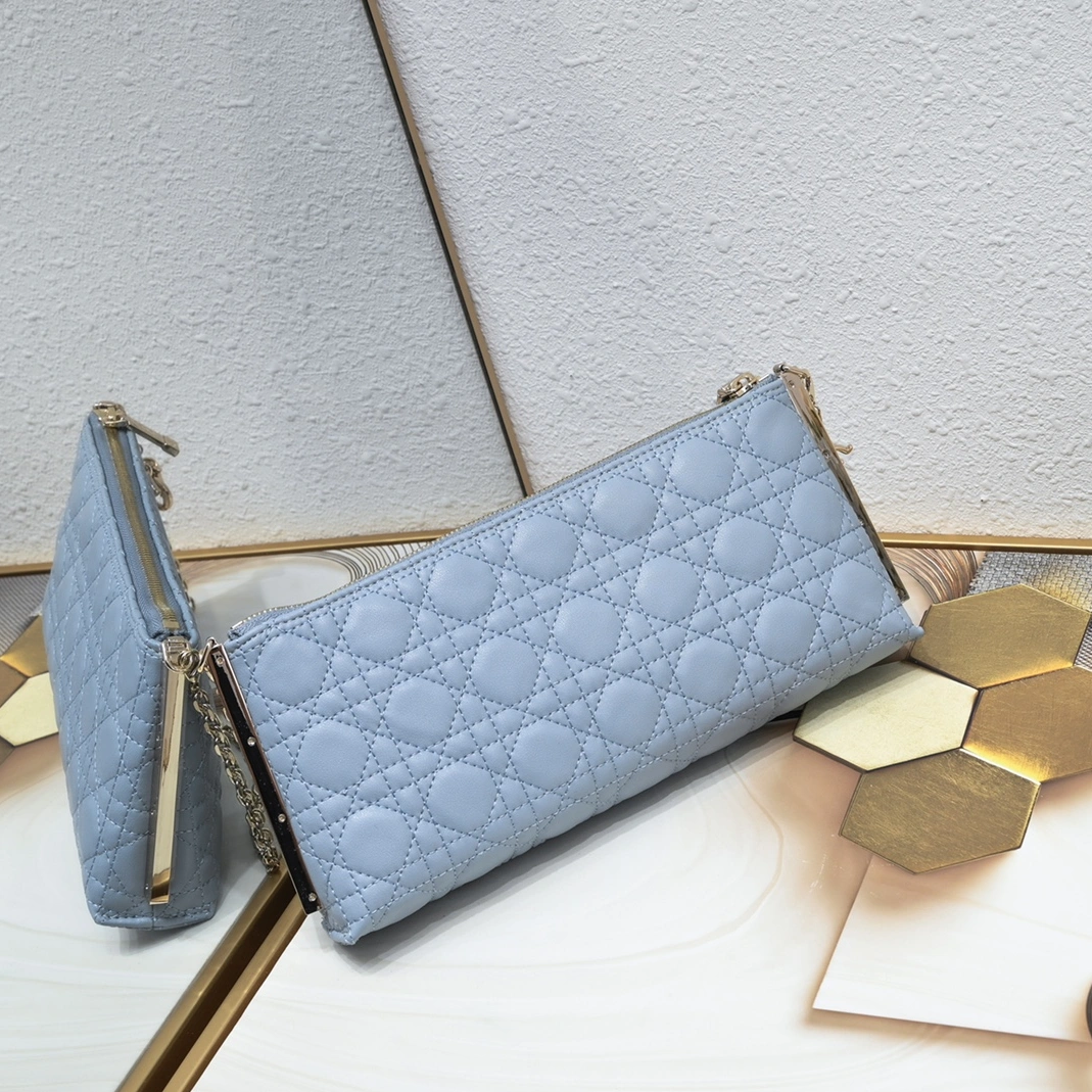 Compact 1679 Christian Dior AAA Quality Shoulder Bags For Women