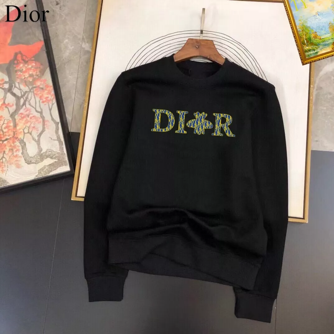 Compact 367 Christian Dior Hoodies Long Sleeved For Men