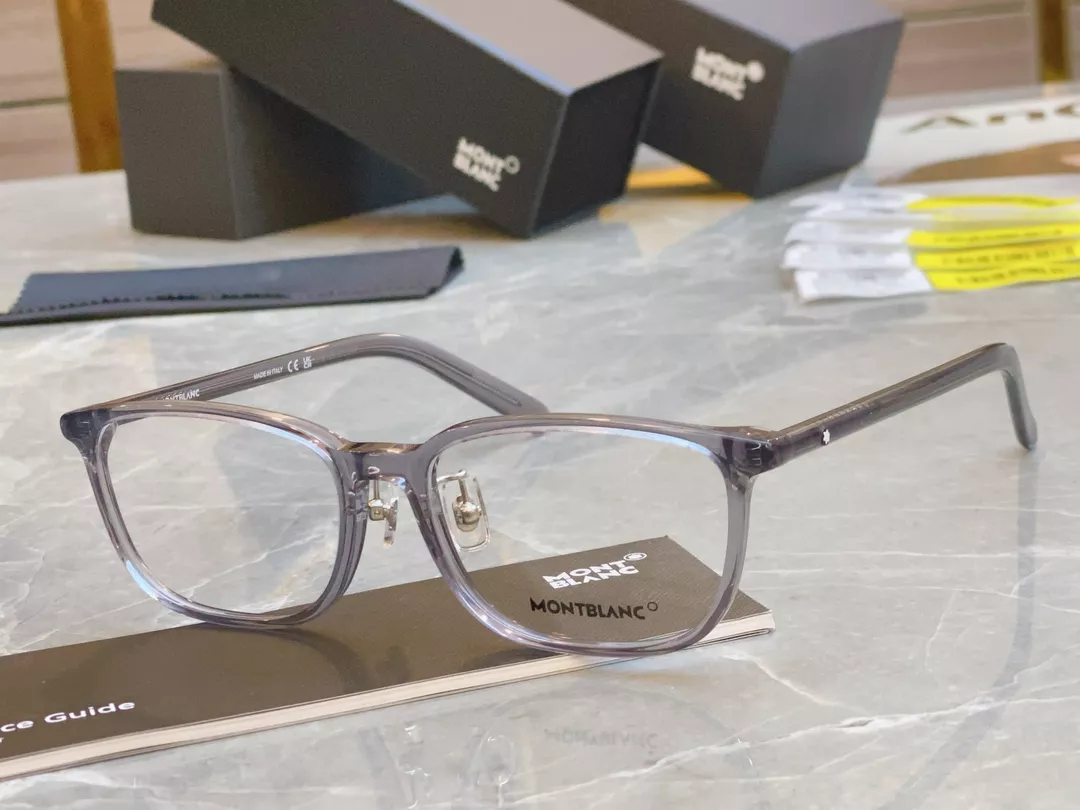 Compact 4302 Montblanc Goggles