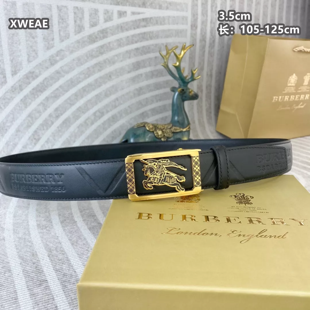 Compact 4885 Burberry AAA Quality Belts For Men