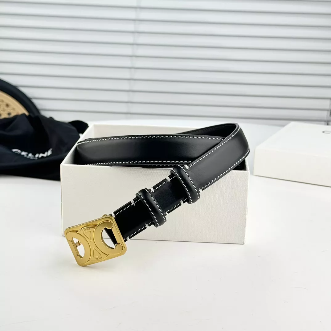 Compact 6858 Celine AAA Quality Belts In 2.5cm For Women